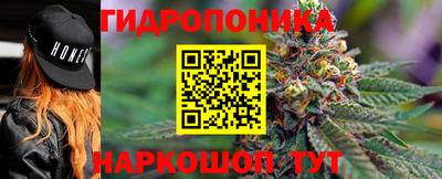 spice Лесосибирск