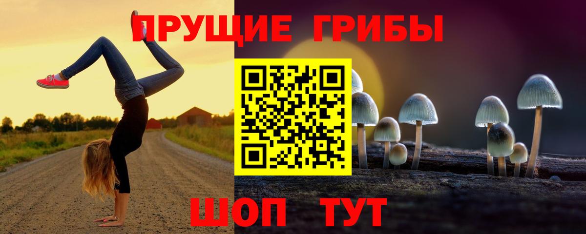 Галлюциногенные грибы ЛСД  наркотики  Вход с VPN  Зерноград  Псилоцибиновые грибы MAGIC MUSHROOMS 